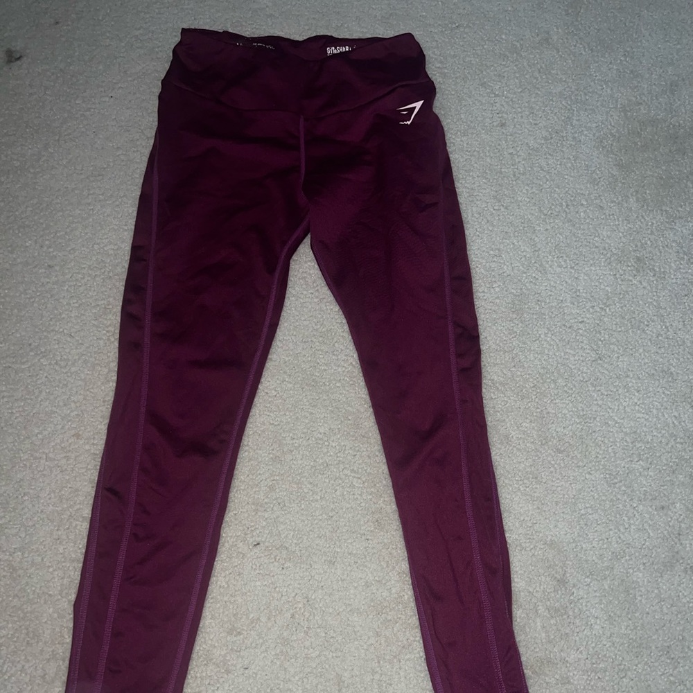Gym shark Leggings